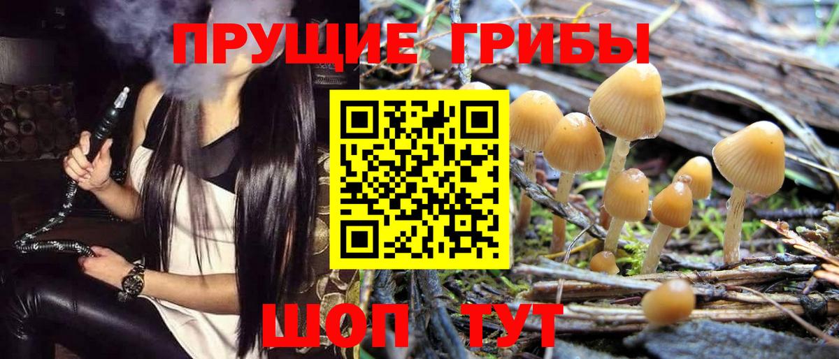 Галлюциногенные грибы Psilocybe  Псилоцибиновые грибы MAGIC MUSHROOMS  Вход с VPN  наркошоп  Алейск 